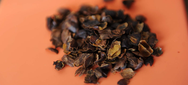 What Is Cascara and Why Is It Everywhere?