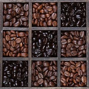 Coffee Beans