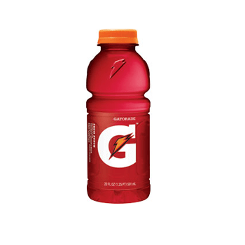 Gatorade Fruit Punch 24 20oz Bottles